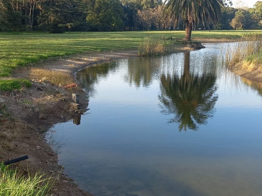 Costa erosionada de una laguna con palmeras