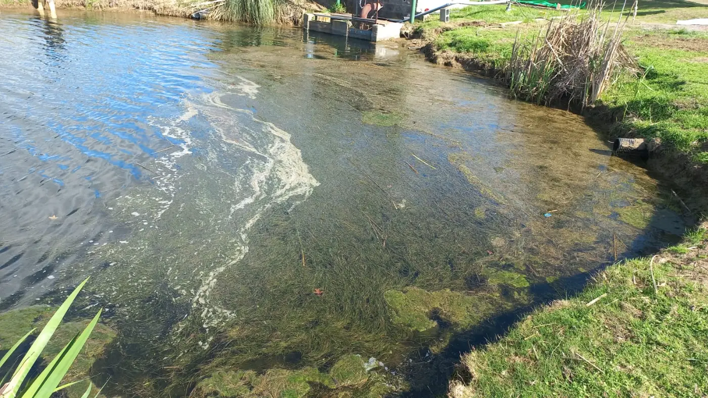 Laguna con agua turbia antes del tratamiento