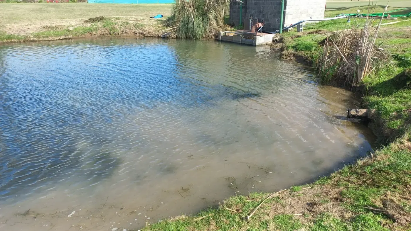 Laguna con agua clara después del tratamiento